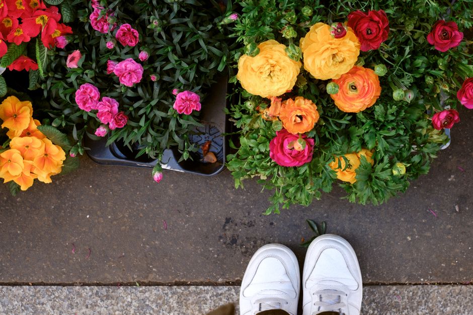 A top-down view of a paved sidewalk displaying three potted flower arrangements from floristcanonbury.co.uk. The first arrangement features vibrant orange flowers with delicate petals, the second show